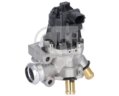 EGR Valve